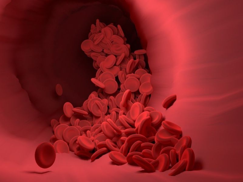 血管と赤血球